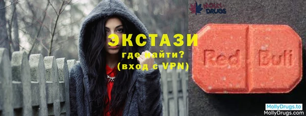 шишки Няндома