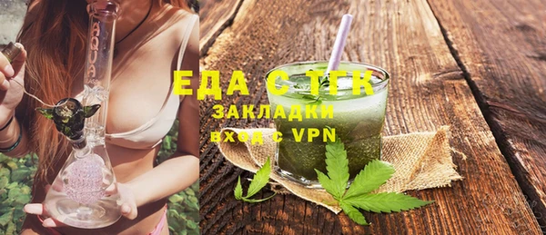 шишки Няндома