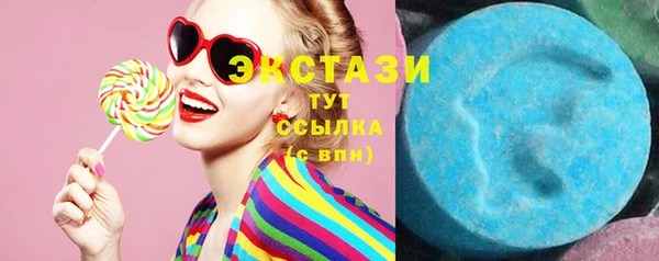 шишки Няндома