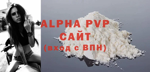 шишки Няндома
