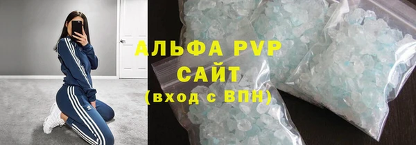 шишки Няндома
