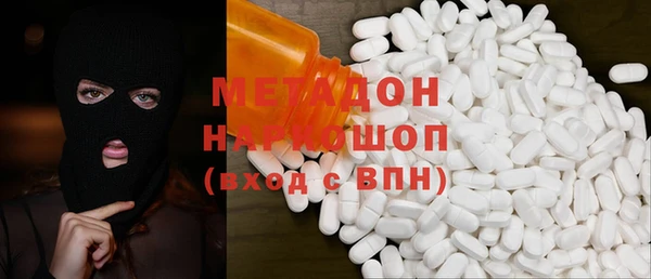 шишки Няндома