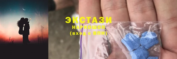 шишки Няндома