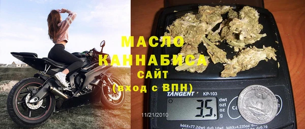 шишки Няндома
