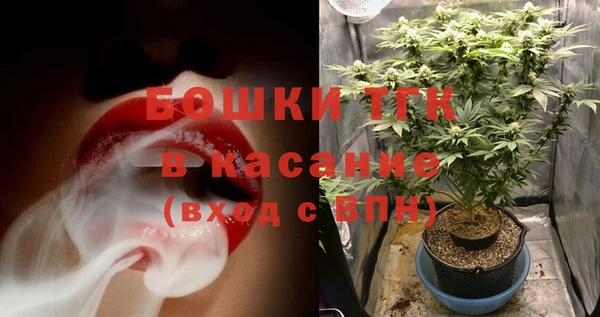 шишки Няндома