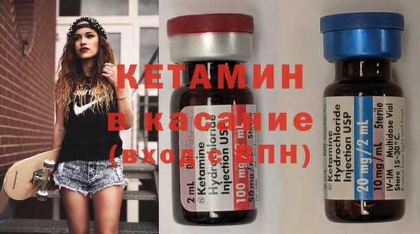 шишки Няндома