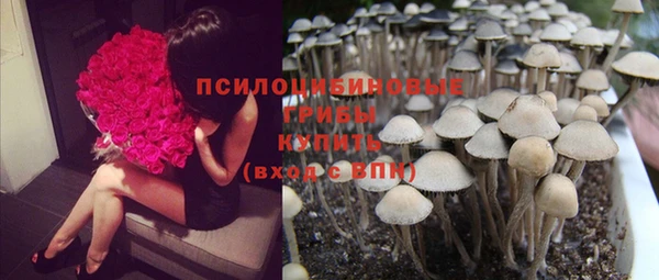 ECSTASY Нягань