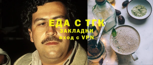 шишки Няндома
