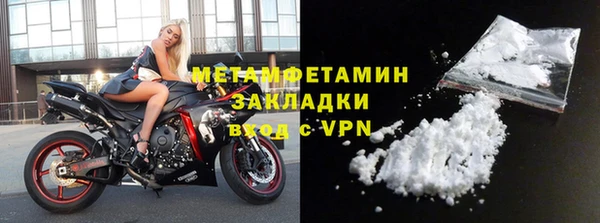 шишки Няндома