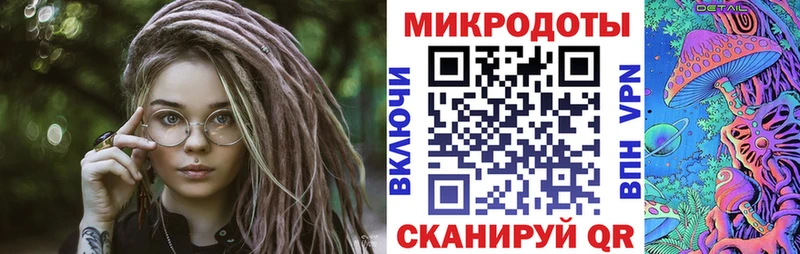 Псилоцибиновые грибы Psilocybine cubensis  Новосокольники 